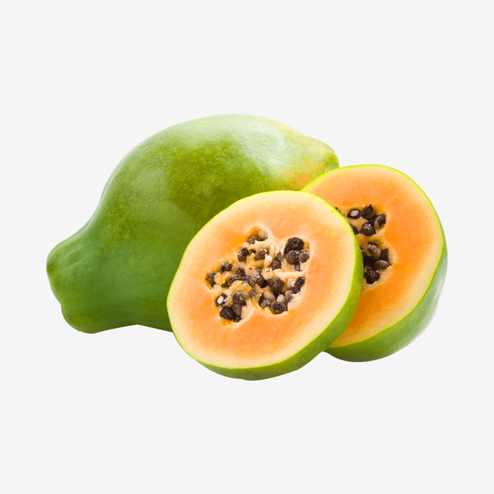 American Sugar-apple