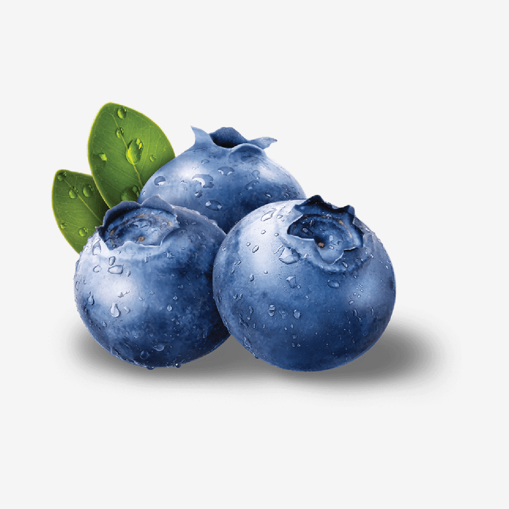 American Sugar-apple